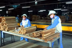 Chế biến gỗ xuất khẩu. (Ảnh: Quang Cường/TTXVN)