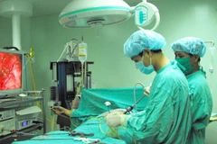 Ảnh chỉ có tính minh họa. (Ảnh: Thanh Vũ/TTXVN)