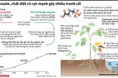 [Infographics] Glyphosate - Chất diệt cỏ cực mạnh gây nhiều tranh cãi