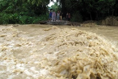 Ảnh chỉ có tính minh họa. (Ảnh: Chu Quốc Hùng/TTXVN)