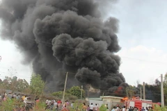 Ảnh chỉ có tính minh họa. (Ảnh: Sỹ Tuyên/TTXVN)