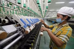 Ảnh chỉ có tính minh họa. (Ảnh: Trần Việt/TTXVN)