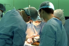 Ảnh chỉ có tính minh họa. (Ảnh: Phương Vy/TTXVN)