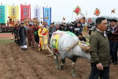 Thực hiện nghi thức với đường cày đầu xuân tại Lễ khai hội Tịch điền Đọi Sơn 2017. (Ảnh: Quốc Khánh/TTXVN)