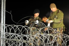 Binh sỹ Hungary đóng cửa biên giới tại Botovo bằng hàng rào dây thép gai khi những nhóm người di cư cuối cùng vượt qua biên giới từ Tovarnik, Croatia ngày 16/10. (Nguồn: Reuters/TTXVN)
