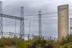 Ảnh minh họa. (Nguồn: EPA)