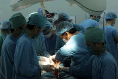 Ảnh chỉ có tính minh họa. (Ảnh: Duy Khương/TTXVN)