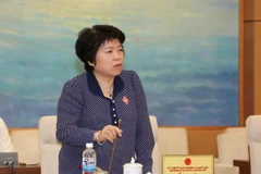 Chủ nhiệm Ủy ban về các vấn đề xã hội của Quốc hội Nguyễn Thúy Anh. (Ảnh: Phương Hoa/TTXVN)