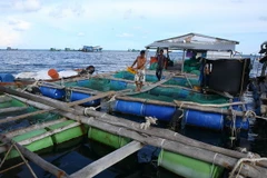 Khai thác hiệu quả lợi thế biển cho nuôi trồng thủy sản