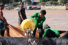 (Ảnh minh họa: Vương Thoại Trung/TTXVN)