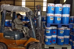 Đoàn đàm phán hợp tác Phần Lan-Việt Nam làm việc với Đà Nẵng