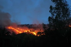 (Ảnh minh họa: Ly Kha/TTXVN)