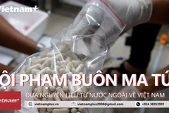 Video đột kích hang ổ sản xuất ma túy từ châu Âu của Trí 'cá voi'
