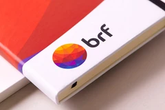 Ảnh chỉ có tính minh họa. (Nguồn: dragonrouge.com)