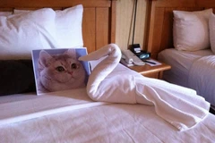 Tại mục 'yêu cầu đặc biệt' ở các khách sạn hạng sang, nhiều khách hàng đã đưa ra những yêu cầu hết sức kỳ quặc, nhưng nhân viên khách sạn đã xoay xở để đáp ứng một cách nghiêm túc và hài hước nhất. (Nguồn: boredpanda.com)