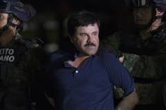 Cảnh sát áp giải trùm ma túy Joaquin "El Chapo" Guzman Loera tại Mexico City ngày 8/1. (Nguồn: THX/TTXVN)