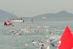 Các vận động viên tham gia môn bơi trên biển. (Ảnh: Nguyên Lý/TTXVN)