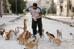 Aljaleel bên những chú mèo vô chủ tại Syria. (Nguồn: Boredpanda.com)