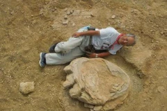 Dâu chân khủng long khổng lồ. (Nguồn: phys.org)