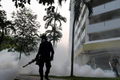 Nhân viên y tế phun thuốc diệt muỗi truyền virus Zika tại khu vực Aljunied, Singapore ngày 28/8. (Nguồn: AFP/TTXVN)