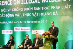 (Ảnh: Minh Sơn/Vietnam+)