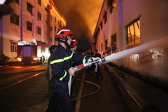 Ảnh minh họa. (Ảnh: Công Phong/TTXVN)