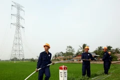 Công nhân Tổng công ty cổ phần Xây dựng điện Việt Nam (VNECO) thi công kéo dây đường dây 500kV Duyên Hải-Mỹ Tho. (Ảnh: Ngọc Hà/TTXVN)