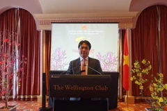 Đại sứ Nguyễn Việt Dũng phát biểu chúc Tết. (Ảnh: Khánh Linh/TTXVN)