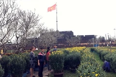 Chợ hoa ở Huế. (Ảnh: Quốc Việt/Vietnam+)