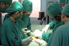 Ảnh chỉ có tính minh họa. (Ảnh: Dương Ngọc/TTXVN)