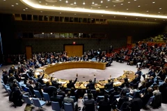 Một phiên họp của Hội đồng Bảo an Liên hợp quốc. (Nguồn: THX/TTXVN)