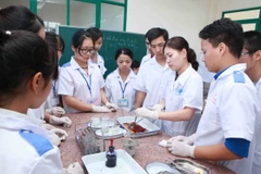 Giảng viên hướng dẫn sinh viên thực hành trên động vật. (Ảnh: Quý Trung/TTXVN)