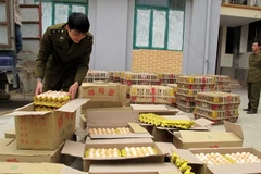 Ảnh chỉ có tính minh họa. (Ảnh: Minh Tâm/TTXVN)