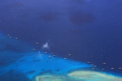 Tàu đánh cá Trung Quốc neo đậu tại bãi đá ngầm Chữ Thập ngày 17/7/2012. (Nguồn: AFP/TTXVN)