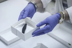 Một phần cuộn kinh thánh cổ 1.500 năm tuổi. (Nguồn: timesofisrael.com)