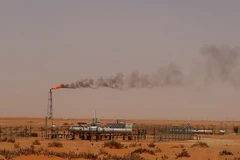 Ảnh minh họa. (Nguồn: AFP/TTXVN)