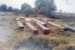 Ảnh minh họa. (Nguồn: globalnewlightofmyanmar.com)