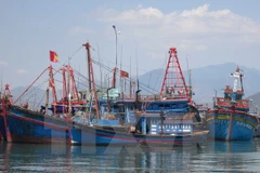 (Ảnh minh họa: Nguyên Lý/TTXVN)