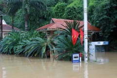 (Ảnh minh họa: Minh Quyết/TTXVN)