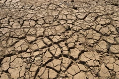 Ảnh minh họa. (Nguồn: AFP/TTXVN)