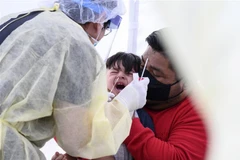 Nhân viên y tế lấy mẫu xét nghiệm COVID-19 tại Compton, California, Mỹ. (Ảnh: AFP/TTXVN)