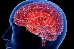 Ảnh minh họa. (Nguồn: israelhayom.com)