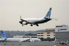 Máy bay Boeing 737 MAX thưc hiện chuyến bay kiểm tra tại nhà máy của Boeing ở Seattle, Washington, Mỹ. (Ảnh: AFP/TTXVN)