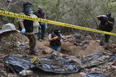 Các điều tra viên khai quật một hố chôn tập thể tại Mexico. (Nguồn: sawahpress.com)