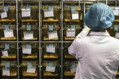 (Nguồn: lalibre.be)