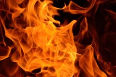 Ảnh minh họa. (Nguồn: nst.com.my)