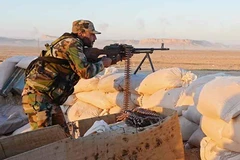 Binh sỹ Syria. (Nguồn: almasdarnews)