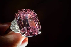 Video cận cảnh viên kim cương đặc biệt trị giá 50 triệu USD