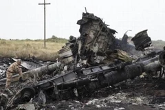 Hiện trường chiếc máy bay MH17 bị bắn hạ. (Nguồn: Reuters)