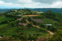 Khu vực nông nghiệp nhiệt đới nhiều núi đồi ở Costa Rica. (Nguồn: stanford.edu)